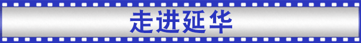 黑色珍珠棉 黑色珍珠棉